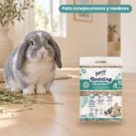 Conejo enano junto a Bunny Nature bunnyBedding Absorber Lecho Absorbente para Conejos y Roedores 70 l