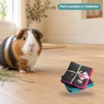 Cobaya junto a Bunny Nature bunnyBedding Easy Alfombra Absorbente Lavable para Cobayas y Conejos