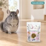 Chinchilla junto a Bunny Nature ChinchillaDream Basic Pienso para Chinchillas 1,2 kg
