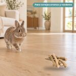 Conejo enano junto a Bunny Nature Coffeewood Madera de Cafeto para Roer Conejos y Roedores
