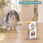 Conejo enano junto a Bunny Nature Crunchy Cracker Zanahoria Galletas para Conejos y Roedores Pack 6x50 g