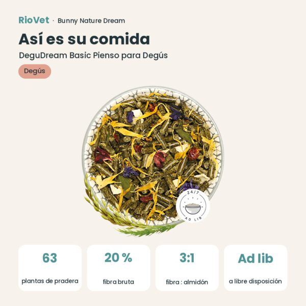 Así es su comida: Bunny Nature DeguDream Basic Pienso para Degús 1,2 kg (datos clave)