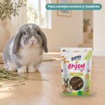 Conejo enano junto a Bunny Nature Enjoy Nature Madera de Peral Pack 6x100 g