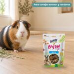 Cobaya junto a Bunny Nature Enjoy Nature Madera de Sauce Pack 6x100 g