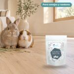 Conejo enano y cobaya junto a Bunny Nature goVet Energy Dental Pienso para Conejos y Roedores con Dentadura Incompleta 1,2 kg
