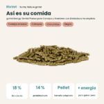 Así es su comida: Bunny Nature goVet Energy Dental Pienso para Conejos y Roedores con Dentadura Incompleta 1,2 kg (datos clave)