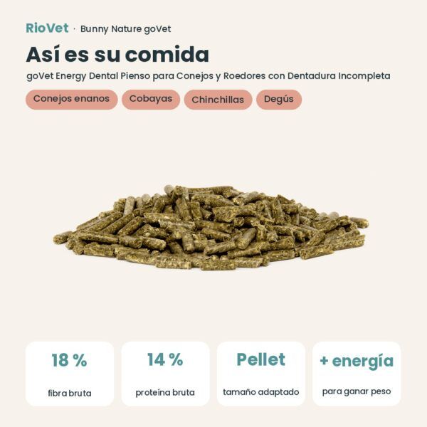 Así es su comida: Bunny Nature goVet Energy Dental Pienso para Conejos y Roedores con Dentadura Incompleta 1,2 kg (datos clave)
