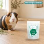Cobaya junto a Bunny Nature goVet GASTROplex Complemento Digestivo para Conejos y Roedores 325 g