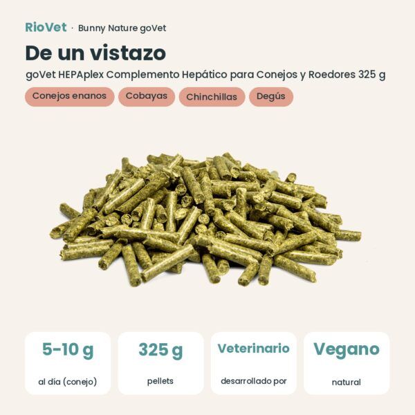 De un vistazo: Bunny Nature goVet HEPAplex Complemento Hepático para Conejos y Roedores 325 g (datos clave)