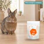 Conejo enano junto a Bunny Nature goVet IMMUNOplex Complemento Defensas para Conejos y Roedores 325 g