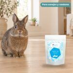 Conejo enano junto a Bunny Nature goVet Rescue Feed Alimentación Asistida para Conejos y Roedores