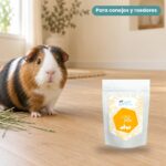 Cobaya junto a Bunny Nature goVet UROplex Complemento Urinario para Conejos y Roedores 325 g
