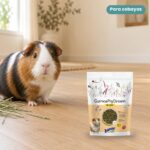 Cobaya junto a Bunny Nature GuineaPigDream Basic Pienso para Cobayas Adultas