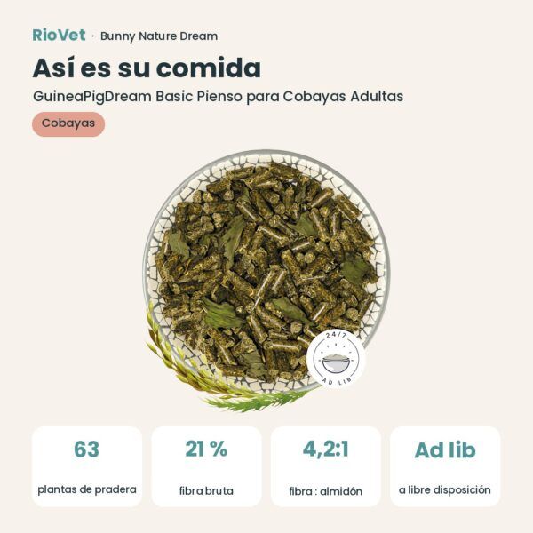 Así es su comida: Bunny Nature GuineaPigDream Basic Pienso para Cobayas Adultas (datos clave)