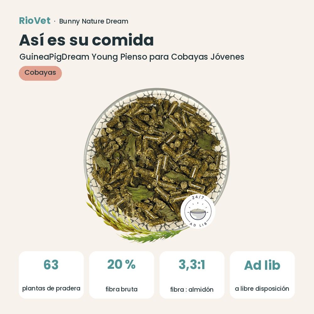 Así es su comida: Bunny Nature GuineaPigDream Young Pienso para Cobayas Jóvenes (datos clave)