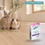 Conejo enano y cobaya junto a Bunny Nature Health BronchoPlus Complemento Respiratorio para Conejos y Roedores Pack 5x200 g