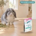 Conejo enano junto a Bunny Nature Health GastroBalance Complemento Digestivo para Conejos y Roedores Pack 5x200 g