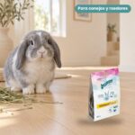 Conejo enano junto a Bunny Nature Health ImmunPower Complemento Defensas para Conejos y Roedores Pack 5x200 g