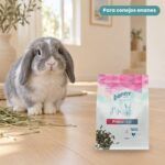 Conejo enano junto a Bunny Nature Health ProDental Pienso para Conejos Enanos con Problemas Dentales 800 g