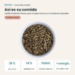 Así es su comida: Bunny Nature Health ProDental Pienso para Conejos Enanos con Problemas Dentales 800 g (datos clave)
