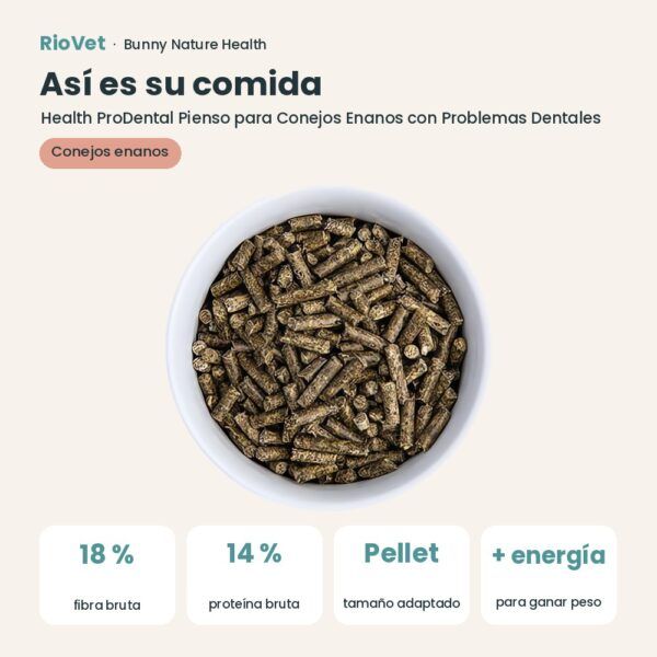Así es su comida: Bunny Nature Health ProDental Pienso para Conejos Enanos con Problemas Dentales 800 g (datos clave)