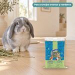 Conejo enano junto a Bunny Nature Heno FreshGrass Alegría del Jardín para Conejos y Roedores 2 kg
