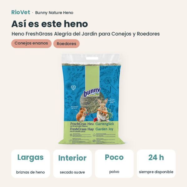 Así es este heno: Bunny Nature Heno FreshGrass Alegría del Jardín para Conejos y Roedores 2 kg (datos clave)