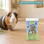 Cobaya junto a Bunny Nature Heno FreshGrass con Coco y Flor de Rosa para Conejos y Roedores 500 g