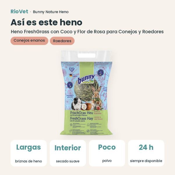 Así es este heno: Bunny Nature Heno FreshGrass con Coco y Flor de Rosa para Conejos y Roedores 500 g (datos clave)