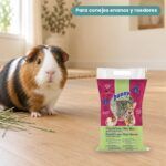 Cobaya junto a Bunny Nature Heno FreshGrass con Flores para Conejos y Roedores 500 g