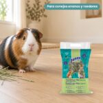 Cobaya junto a Bunny Nature Heno FreshGrass con Menta para Conejos y Roedores 500 g