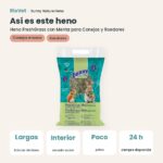 Así es este heno: Bunny Nature Heno FreshGrass con Menta para Conejos y Roedores 500 g (datos clave)