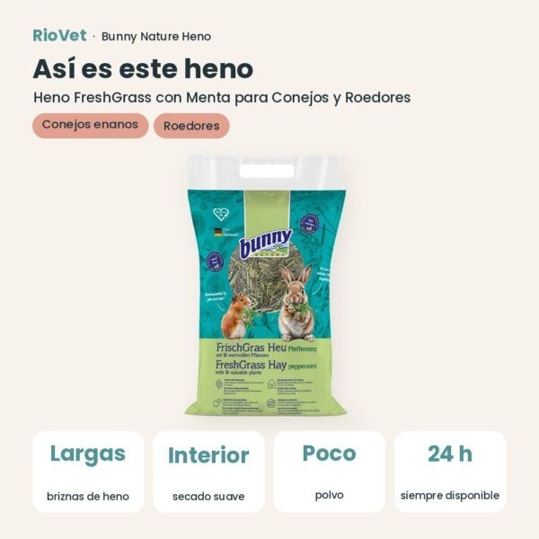 Así es este heno: Bunny Nature Heno FreshGrass con Menta para Conejos y Roedores 500 g (datos clave)