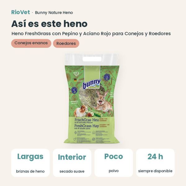 Así es este heno: Bunny Nature Heno FreshGrass con Pepino y Aciano Rojo para Conejos y Roedores 500 g (datos clave)