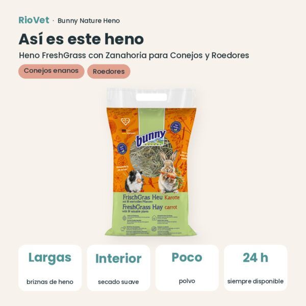 Así es este heno: Bunny Nature Heno FreshGrass con Zanahoria para Conejos y Roedores 500 g (datos clave)