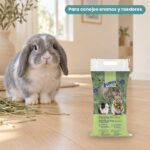 Conejo enano junto a Bunny Nature Heno FreshGrass Natural para Conejos y Roedores