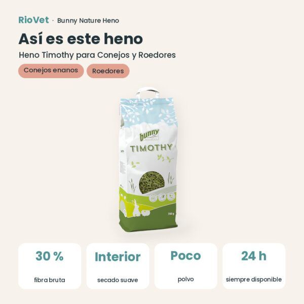 Así es este heno: Bunny Nature Heno Timothy para Conejos y Roedores (datos clave)