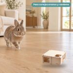 Conejo enano junto a Bunny Nature Laberinto de Madera para Conejos y Roedores by puppijames