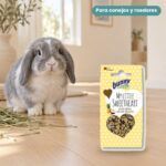 Conejo enano junto a Bunny Nature My Little Sweetheart Coco y Piña Galletas para Roedores Pack 8x30 g