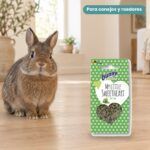 Conejo enano junto a Bunny Nature My Little Sweetheart Matcha Galletas para Roedores Pack 8x30 g
