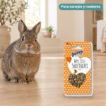 Conejo enano junto a Bunny Nature My Little Sweetheart Papaya Galletas para Roedores Pack 8x30 g