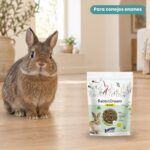 Conejo enano junto a Bunny Nature RabbitDream Basic Pienso para Conejos Enanos Adultos