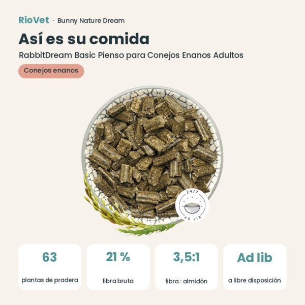 Así es su comida: Bunny Nature RabbitDream Basic Pienso para Conejos Enanos Adultos (datos clave)