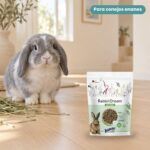 Conejo enano junto a Bunny Nature RabbitDream Herbs Pienso con Hierbas para Conejos Enanos Adultos