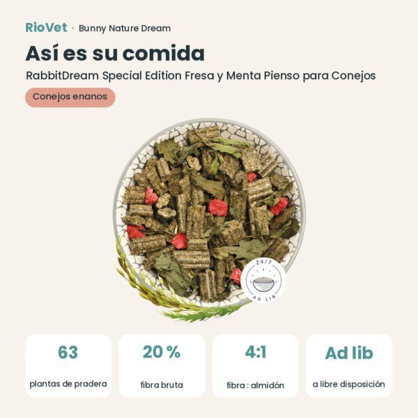 Así es su comida: Bunny Nature RabbitDream Special Edition Fresa y Menta Pienso para Conejos 1,5 kg (datos clave)