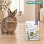 Conejo enano junto a Bunny Nature RabbitDream Special Edition Harmony Pienso para Conejos 1,5 kg