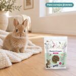 Conejo enano joven junto a Bunny Nature RabbitDream Young Pienso para Conejos Enanos Jóvenes