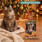 Gato junto al árbol de Navidad con el Calendario de Adviento 2026 de Calibra