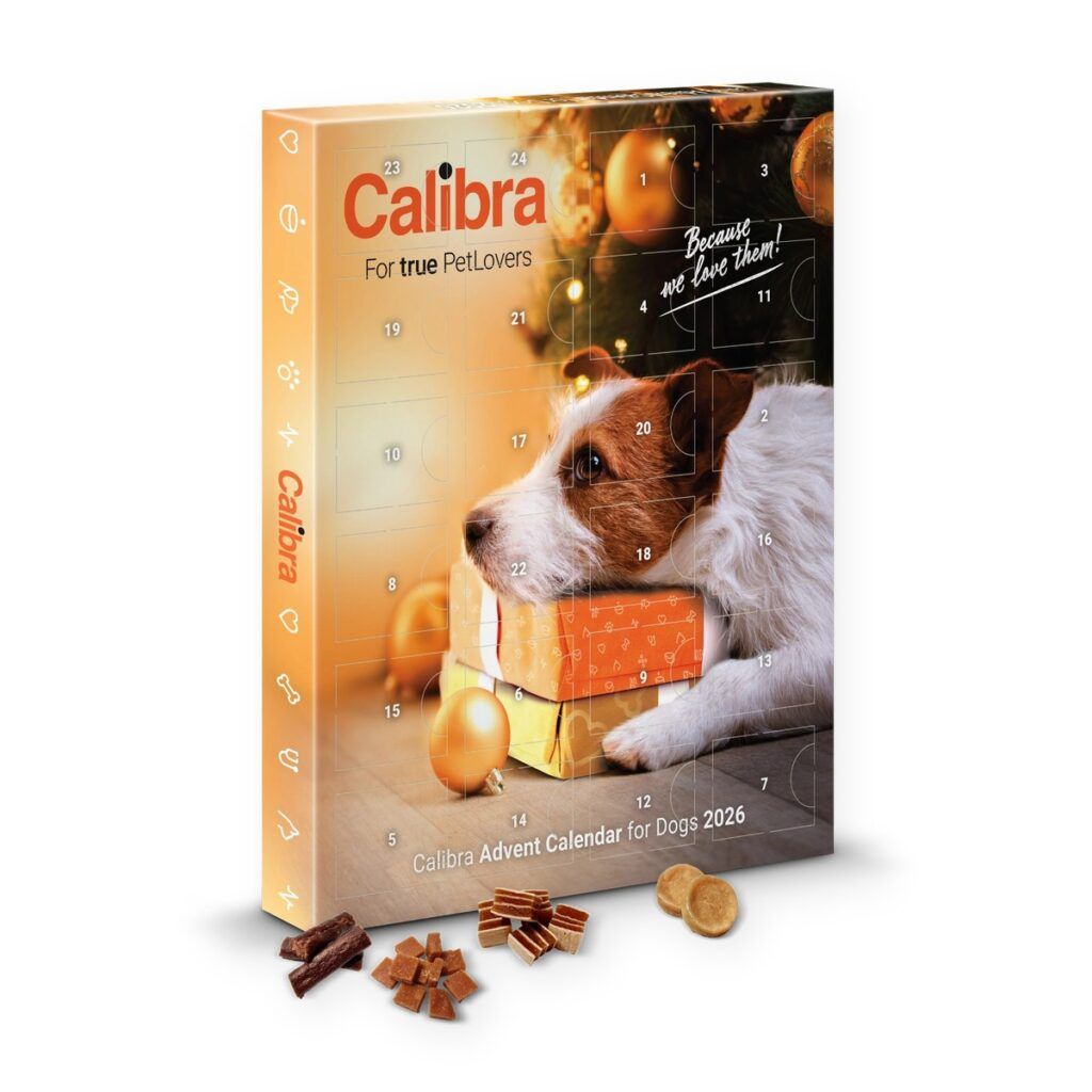 Calendario de Adviento 2026 de Calibra para perros con premios para cada día de diciembre