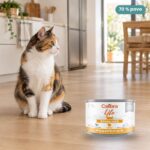 Gato junto a Calibra Cat Life Sterilised Pavo para Gatos en Lata Pack 6x200 g